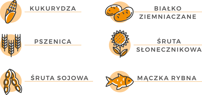 Kukurydza, soja, pszenica, białko