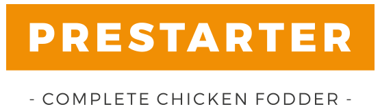 Prestarter wypasione kurczaki